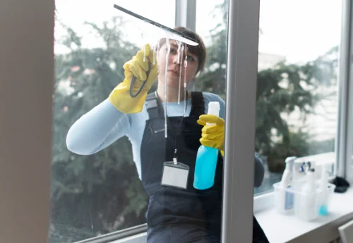 Nettoyage de vitres intérieures et extérieures à Grazay
